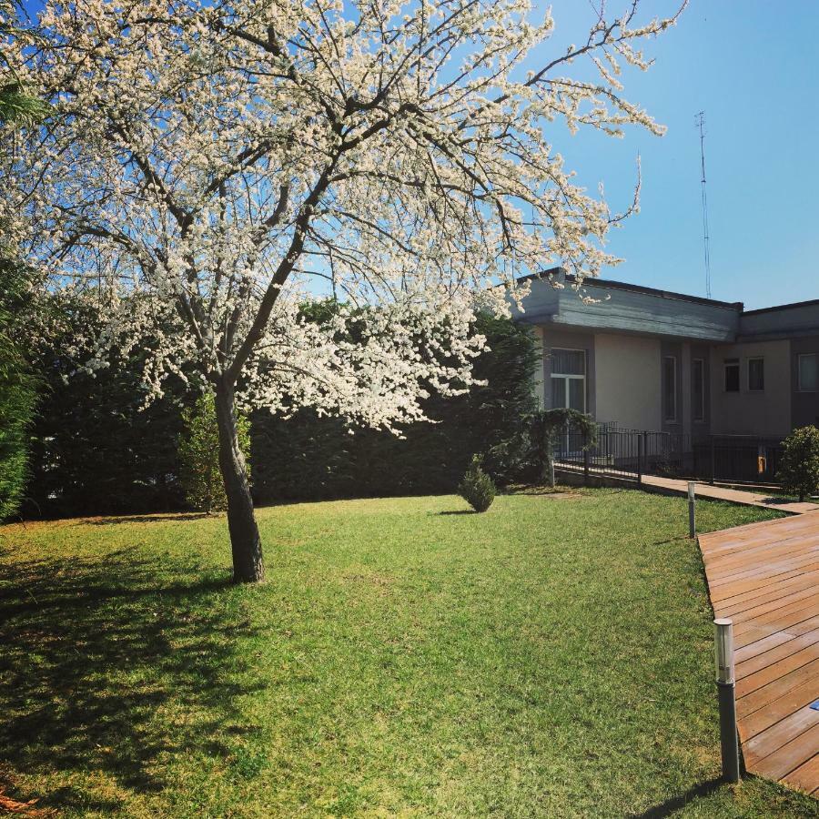Hotel Villa Cinzia Villanova Mondovì エクステリア 写真